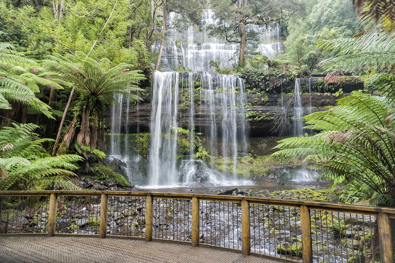 Mt Field - Russell Falls