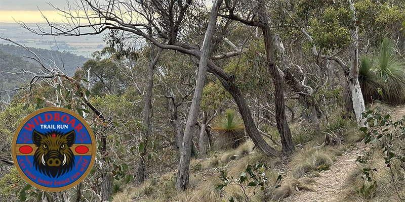 WildBoar Trail Run